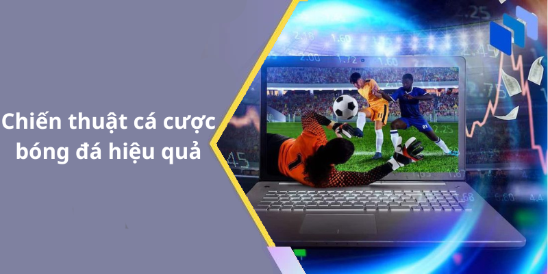 Chiến thuật cá cược bóng đá hiệu quả
