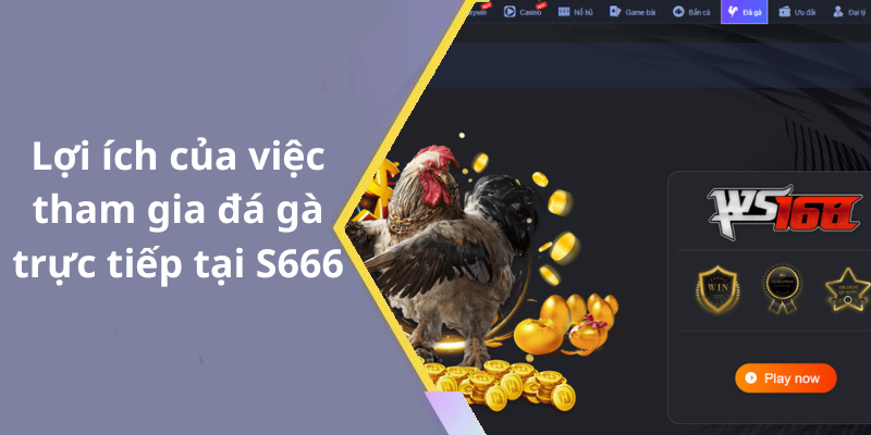 Lợi ích của việc tham gia đá gà trực tiếp tại S666