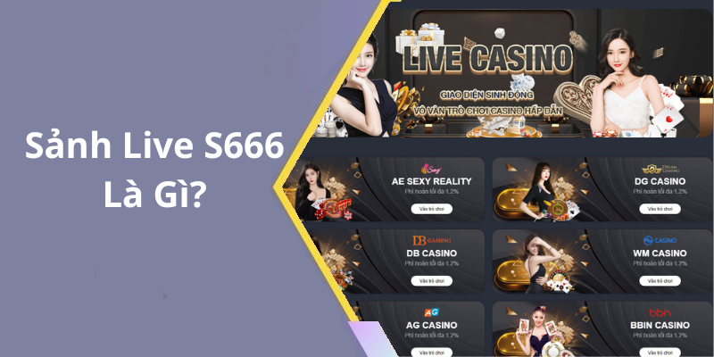 Sảnh Live S666 Là Gì