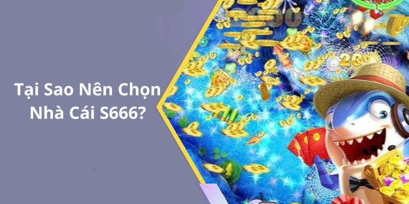 Tại Sao Nên Chọn Nhà Cái S666