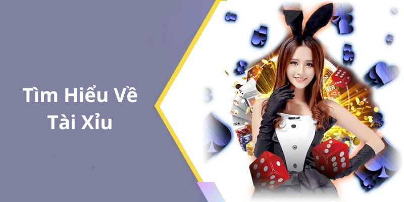 Tìm Hiểu Về Tài Xỉu