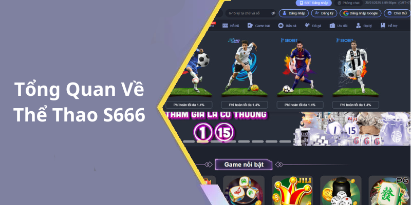 Tổng Quan Về Thể Thao S666