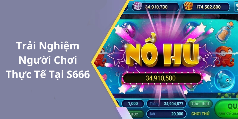 Trải Nghiệm Người Chơi Thực Tế Tại S666