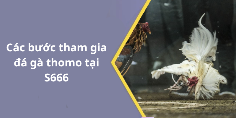 Các bước tham gia đá gà thomo tại S666