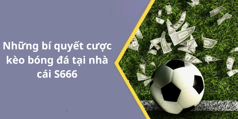 Những bí quyết cược kèo bóng đá tại nhà cái S666