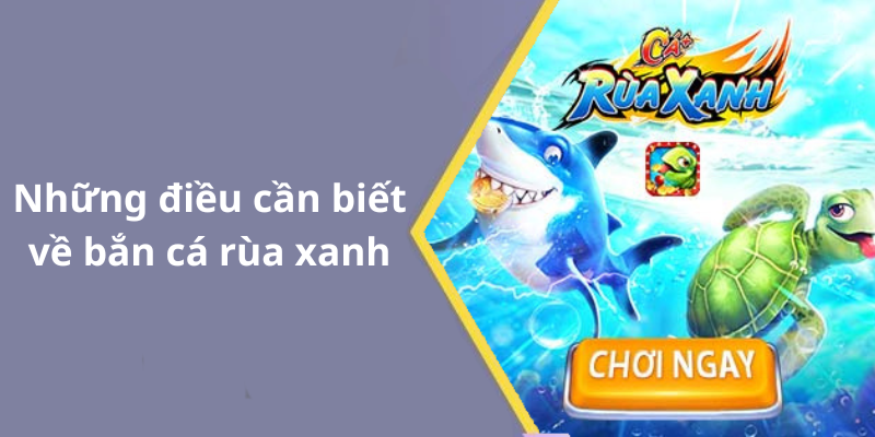 Những điều cần biết về bắn cá rùa xanh