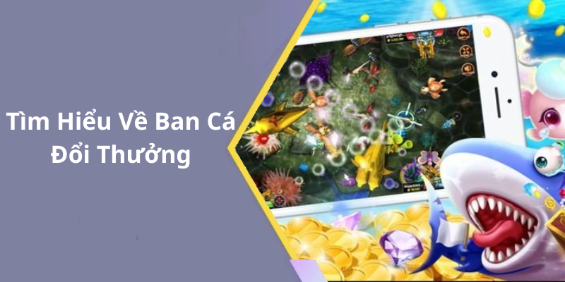 Tìm Hiểu Về Ban Cá Đổi Thưởng