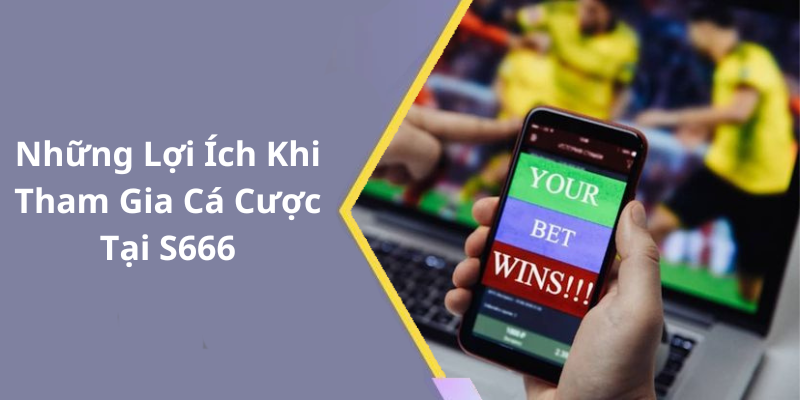 Những Lợi Ích Khi Tham Gia Cá Cược Tại S666