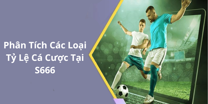 Phân Tích Các Loại Tỷ Lệ Cá Cược Tại S666