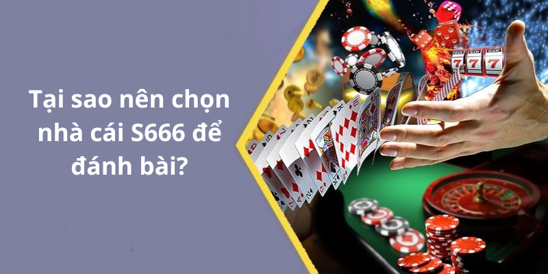 Tại sao nên chọn nhà cái S666 để đánh bài
