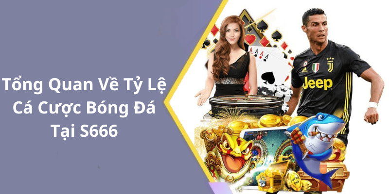Tổng Quan Về Tỷ Lệ Cá Cược Bóng Đá Tại S666