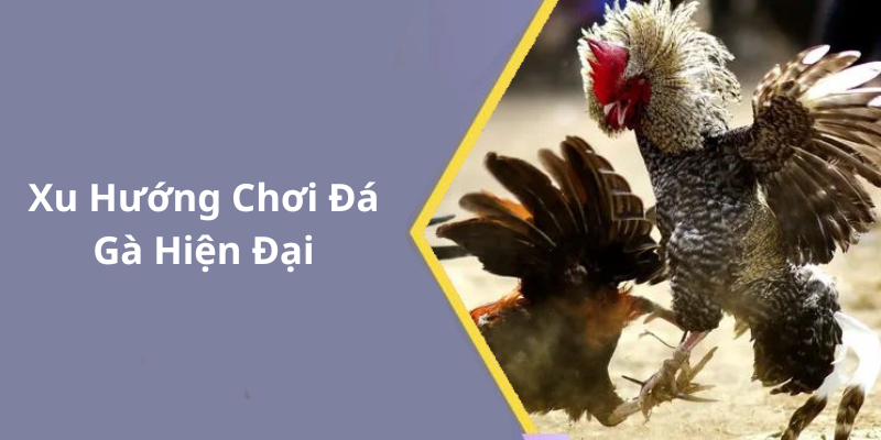 Xu Hướng Chơi Đá Gà Hiện Đại