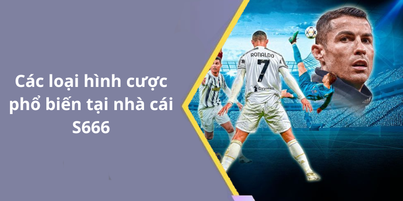 Các loại hình cược phổ biến tại nhà cái S666